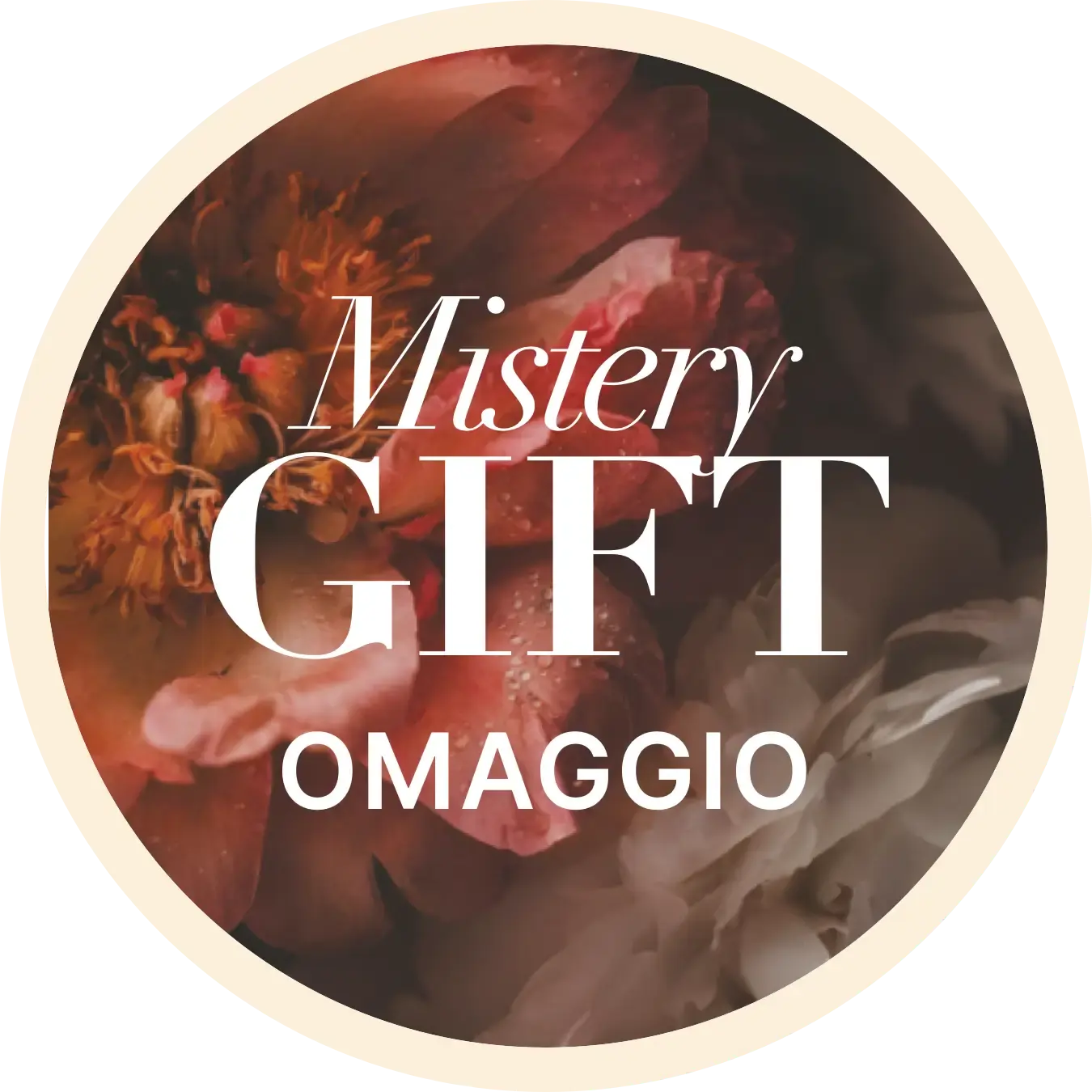 🎁 Mistery Gift Black Friday (100% off)